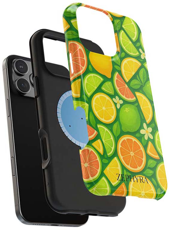 magsafe puzdro iphone 13 Pro Max